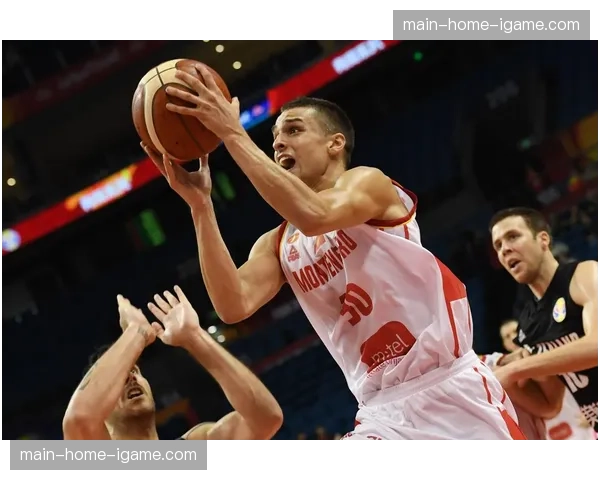 世界赛艇世界杯首站于悉尼开幕,新西兰队首日夺三金 世界赛艇世界杯首站于悉尼开幕,新西兰队首日夺三金